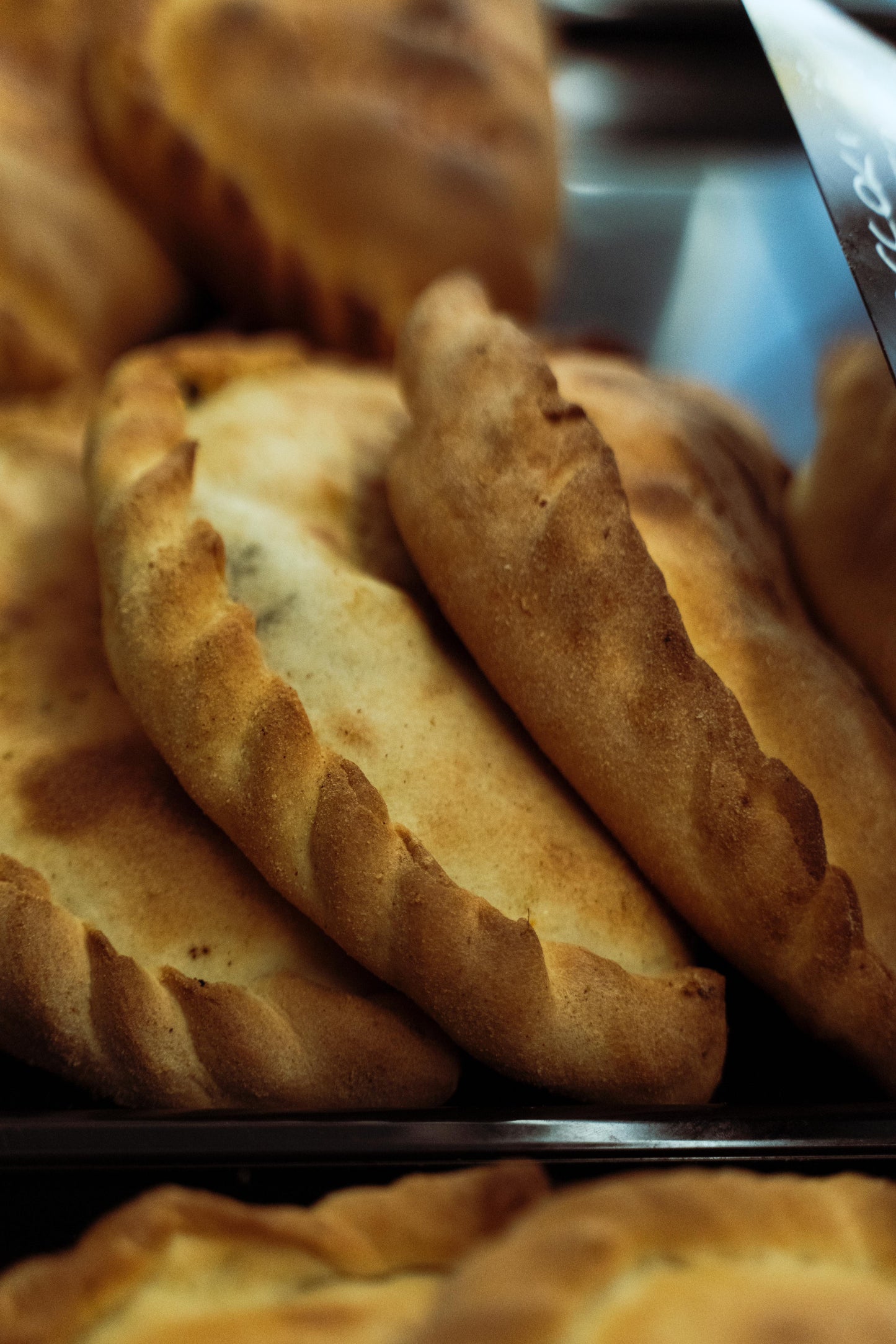 SCACCIA CON IL RIEFICU BROCCOLI E CAPULIATO